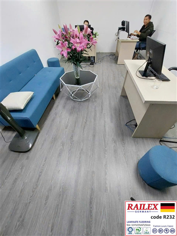 Sàn nhựa đá thạch anh RAILEX